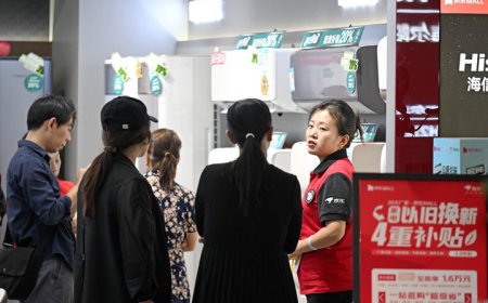 Why “Adhere to Domestic Demand Dominance” is Put in the First Place