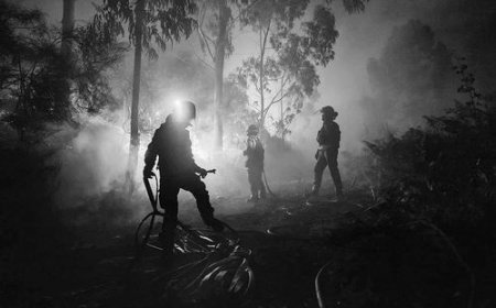 2025 will be the second hottest year on record, and it may exceed several climate tipping points in the future