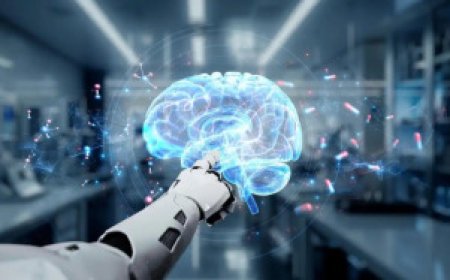 The key mechanism of the human brain being superior to artificial intelligence is revealed: it has the ability to reorganize cognitive modules to "put together building blocks"