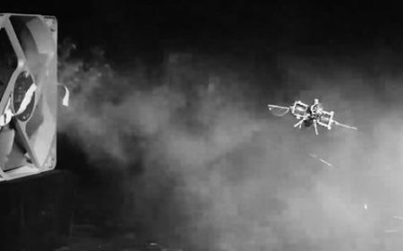 Insect-grade micro flying robots are introduced