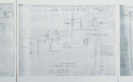 The atrocities of the Japanese invading China add ironclad evidence! A new batch of Unit 731 crime files were released today