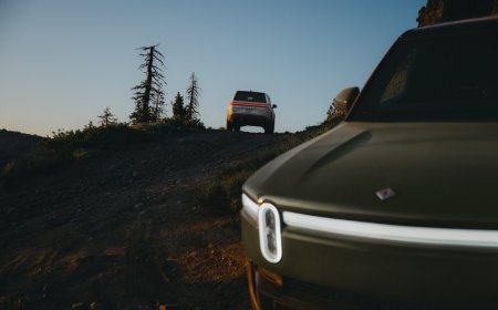 Former Patagonia CEO Rose Marcario resigns from Rivian’s board