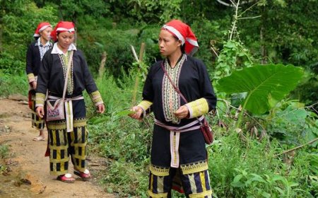 Can traditional medicine strengthen modern healthcare? An expert weighs in 