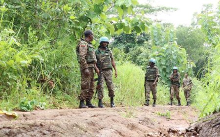 South Sudan: UN condemns killing of staff member in Wau, calls for swift investigation