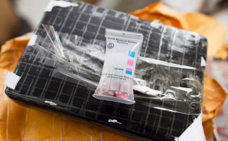 Record cocaine seizure in Haitian waters underlines country’s ‘pivotal’ trafficking role