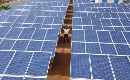 ‘When finance flows, ambition grows’: COP30’s call for action