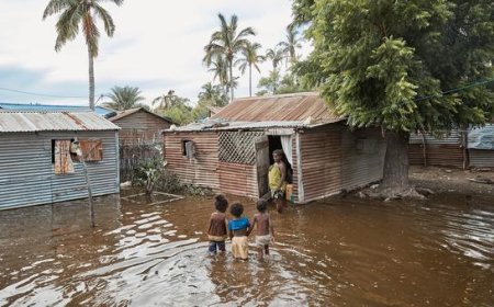 COP30: Climate crisis is a health crisis, WHO warns as philanthropies pledge $300m for solutions