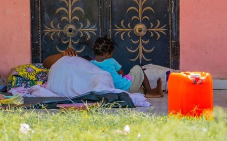 World News in Brief: Violence against Haitian women, WHO alert over support for survivors worldwide, Youth Activist Summit marks hope over hate