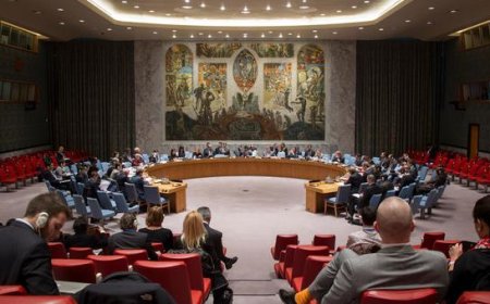 Security Council LIVE: Ambassadors debate deepening crisis in eastern DR Congo