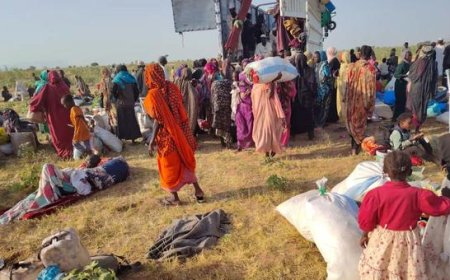 Sudan: 89,000 civilians have fled El Fasher