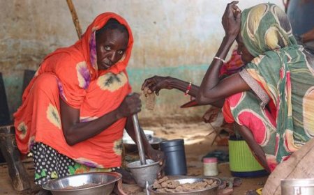 Tens of thousands fleeing on foot amid atrocities in Sudan’s El Fasher