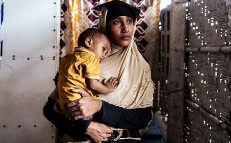 UN urges renewed solidarity eight years after forced exodus of Rohingya