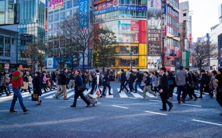 Cities now home to nearly half of humanity: UN report