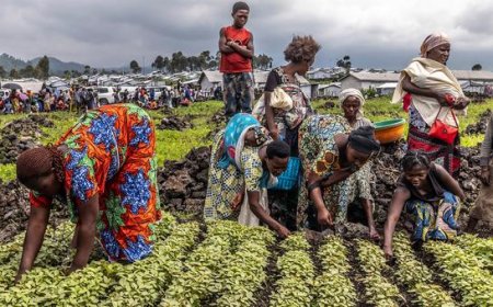 Why are over 670 million people going hungry?