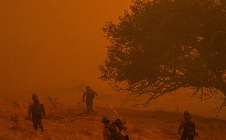 U.S. Will Pay $450,000 to Wildfire Fighters With Cancer
