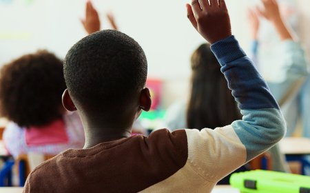 People Who Achieve the Most Later in Life Typically Start Off Dabbling in Disciplines, Study Shows