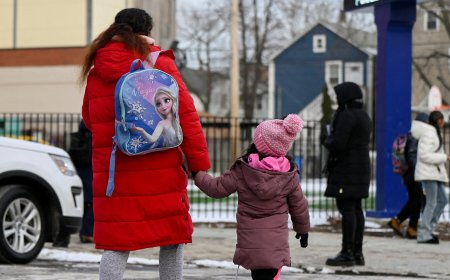 ICE Arrests Disrupt Schools, Prompting Fear Among Families