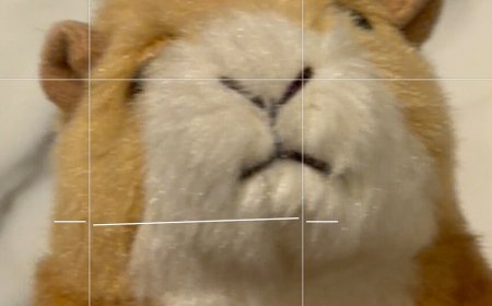 Take Command of Your Powerful New Smartphone Camera