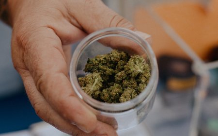 How the New Cannabis Classification Could Impact Marijuana Research and Businesses