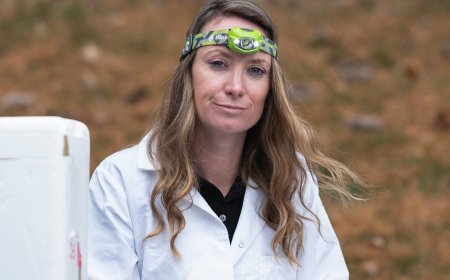 She Studied Mosquitoes to Prevent Malaria. Then She Lost Her Job at U.S.A.I.D.