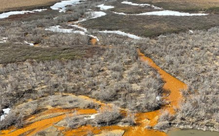 Arctic Report Card Marks Record Temperatures and Rainfall in Arctic