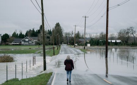100,000 in Washington State Ordered to Evacuate as Rivers Rise