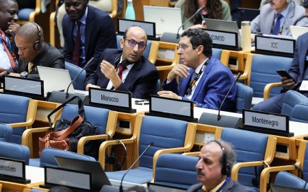 U.S. Helped to Weaken Report at U.N. Environment Talks, Participants Say