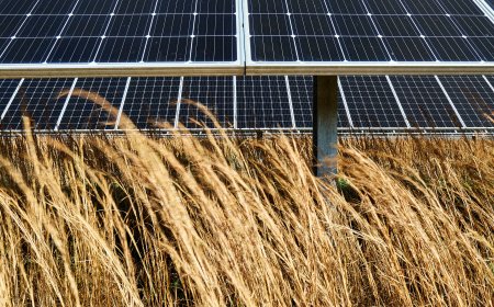 This Arkansas City Shows How to Slash Emissions and Save Money, Too