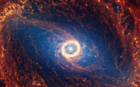 Sync Your Calendar With the Solar System