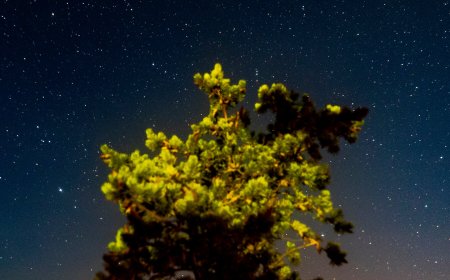 In Michigan’s Upper Peninsula, Locals Fight for ‘The Right to Night’