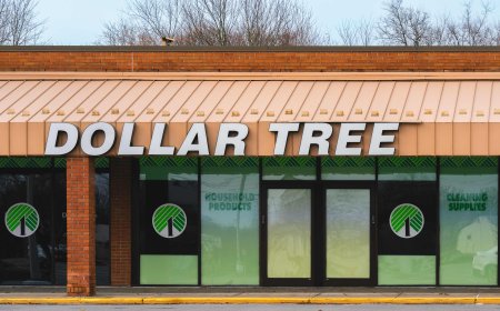 Dollar Tree Is Selling the Cutest Productivity Gems, and I Want All 4 of Them