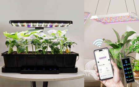 The Best Plant and Gardening Gifts From LetPot (2025)