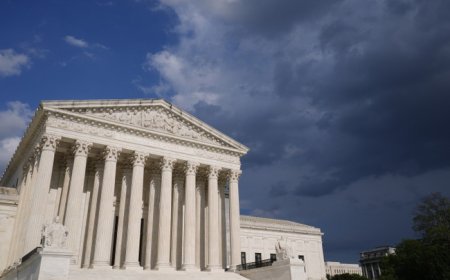 Ivy League Law Professors: We Need to Destroy the Supreme Court to Save It