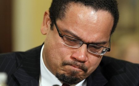 Perfect Metaphor For How Democrats Do Things