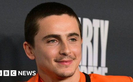 Timothée Chalamet teams up with EsDeeKid to quash alter-ego rumours