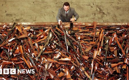 Australia was seen as a world leader in gun control - Bondi has exposed a more complicated reality