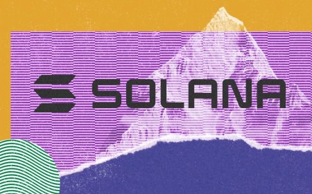 Most Influential: The Solana Developers