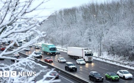 When roads will be busiest and supermarket hours: How to navigate the Christmas break
