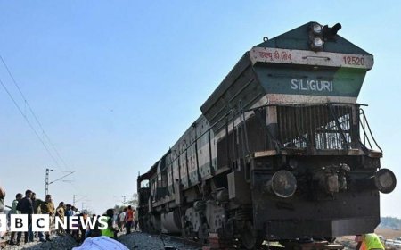 India express train kills seven elephants crossing tracks