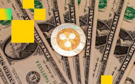 BlackRock's Bitcoin ETF racks up $25 billion in yearly inflows despite BTC price slump