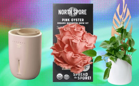 The 17 Best Gifts for Plant Lovers We’d Buy Ourselves (2025)