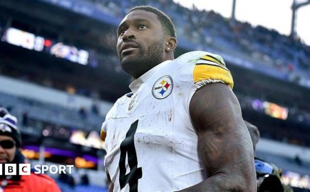 Steelers' Metcalf appears to punch fan during game