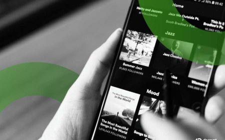 Shadow ‘Archive’ Says It Copied Virtually All of Spotify’s Music