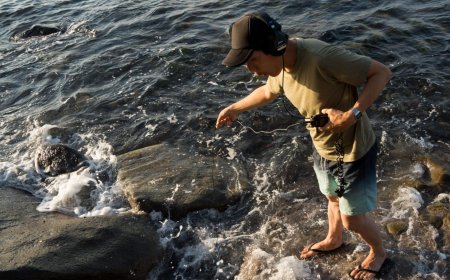 The Music of the Sea