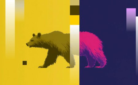 Crypto Markets Today: Cardano-based NIGHT crashes, ZEC, XMR also drop