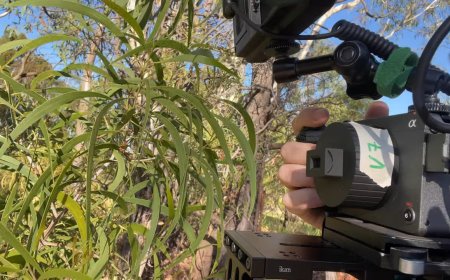 Disposable Camera Viewfinder Becomes 3D Printed Lens