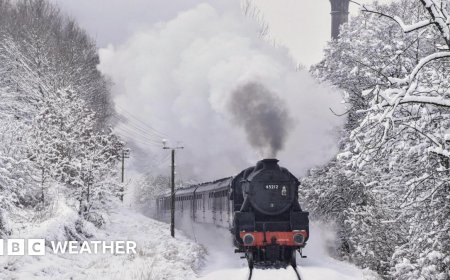 2025: The year in your pictures