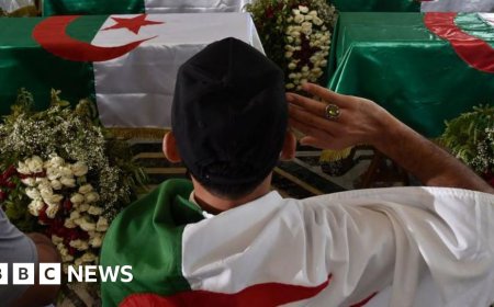 Algeria votes to declare French colonisation a crime and demand reparations