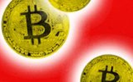 Chinese Crypto Scammers on Telegram Are Fueling the Biggest Darknet Markets Ever