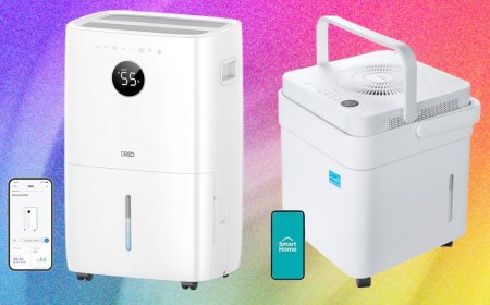 6 Best Dehumidifiers to Keep Your Home Mold-Free (2026)